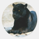 Recherche de panthère autocollants Noir