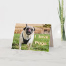 Suche nach kleine hunde karten Schwarz