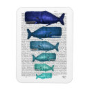 Suche nach faber magnete Meereswelt