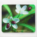 Suche nach marienkäfer mousepads Horizontal