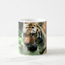 Recherche de zoo tasses Chat