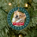 Suche nach pet ornamente Foto