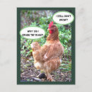 Recherche de humour poulet cartes postales Animaux