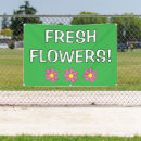 Recherche de vente de plante Fleurs