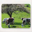 Suche nach normandie mousepads Frankreich