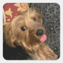 Suche nach baby foto aufkleber Haustier