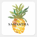 Suche nach tropische ananas aufkleber Hübsch