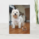 Suche nach gute freunde karten Hund