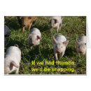 Recherche de porcelet cartes postales Porcs