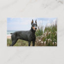 Suche nach dobermann alle visitenkarten Pinscher