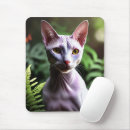 Recherche de chat sphynx tapis souris Sans cheveux