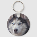 Suche nach husky schlüsselanhänger Sibirischer husthund