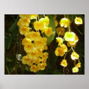 Suche nach tropische blumen poster Natur
