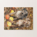 Recherche de louisiane puzzles Couleur
