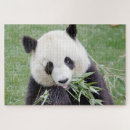 Recherche de décor à la maison puzzles Nature