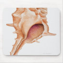 Recherche de découpe tapis souris Animal