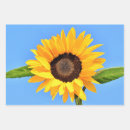 Suche nach himmel foto geschenkpapier Blau