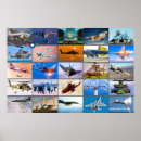 Suche nach desert storm poster Wüste