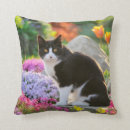 Suche nach der schwarzen katze kissen Katzen