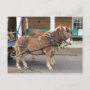 Recherche de mules cartes postales Ferme