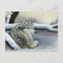 Recherche de loup neige cartes postales Nature