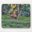 Recherche de velours photographie Cerf