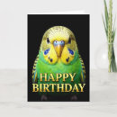 Recherche de perruches vœux cartes D'anniversaire