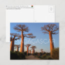 Suche nach allee postkarten Madagaskar