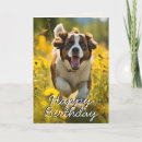 Recherche de st bernard vœux cartes Propriétaire de chien
