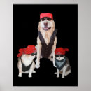 Recherche de humour moto posters Chien