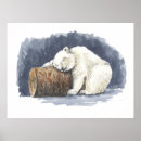 Recherche de dormir posters Faune
