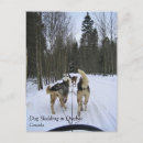 Recherche de traîneau cartes postales Hiver