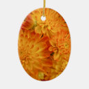 Recherche de chrysanthèmes ornements Jardin