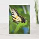 Recherche de terres vœux cartes Jardin