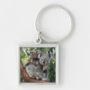 Recherche de ours koala porteclés Bébé