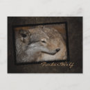 Suche nach wolf foto postkarten Natur