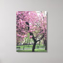 Suche nach kirschblüte baum kunst Fotografie