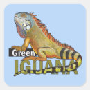 Suche nach grüner leguan Reptil