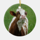 Suche nach molkerei ornamente Bauernhof