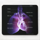 Recherche de organes internes tapis souris Corps