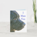 Recherche de grand baiser cartes postales Chien