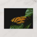Recherche de ailes papillon cartes visite Orange