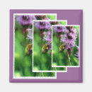 Suche nach bee magnete Hummeln