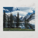 Recherche de arbre à feuillage persistant cartes postales Montagne