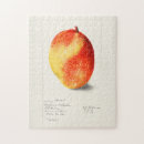 Recherche de indica Fruit