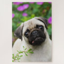 Recherche de carlins puzzles Pour elle