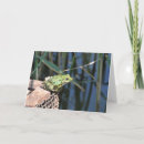 Suche nach frog karten Nature