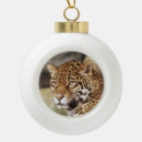 Suche nach jaguar an ornamente Tier