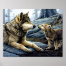 Recherche de chien loup posters Sauvage