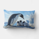 Recherche de pingouin de coussins Mignon